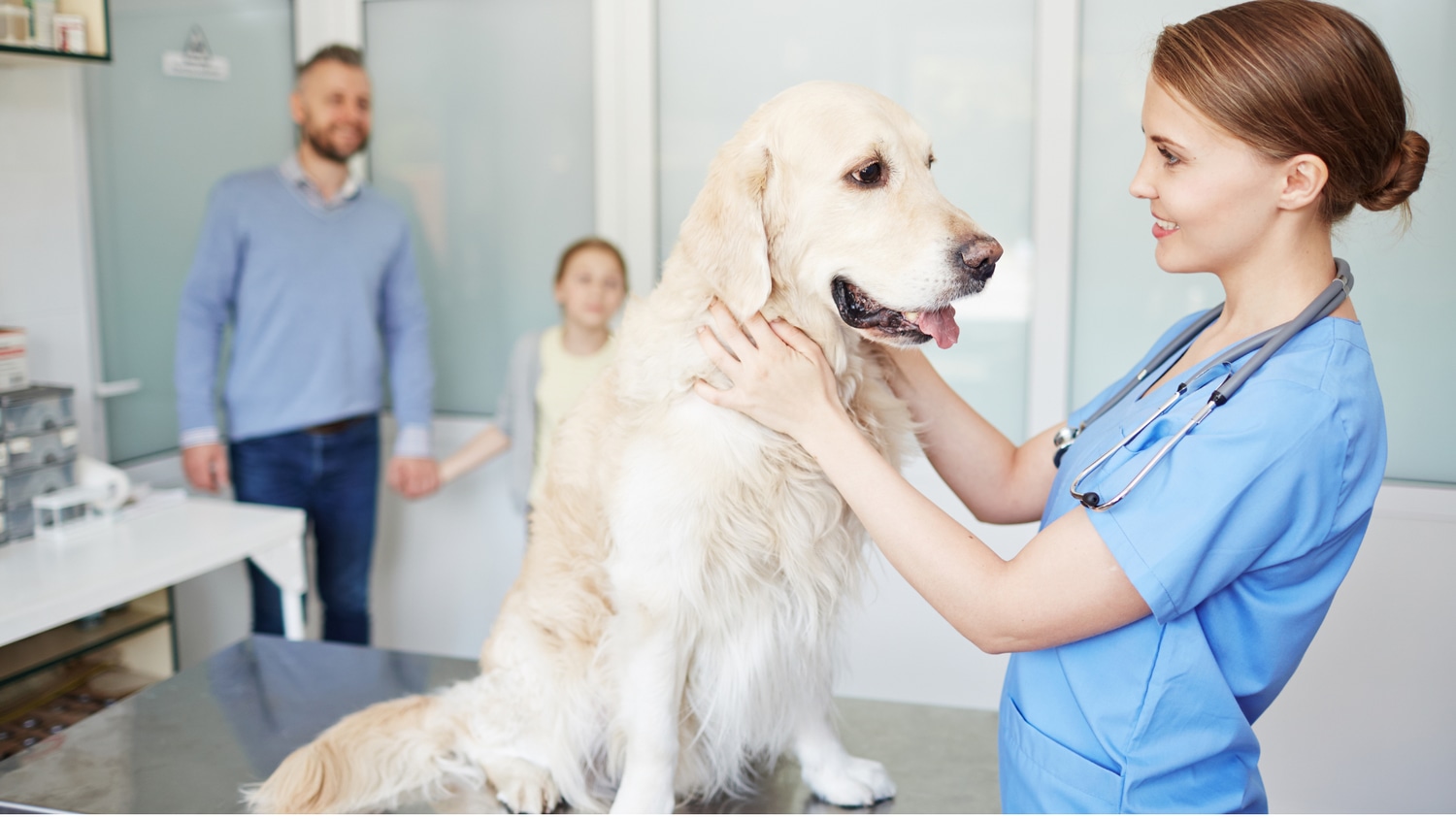 Animal Psychology