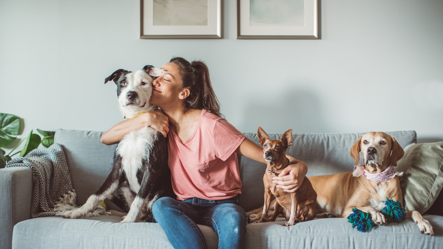 Pet Sitting